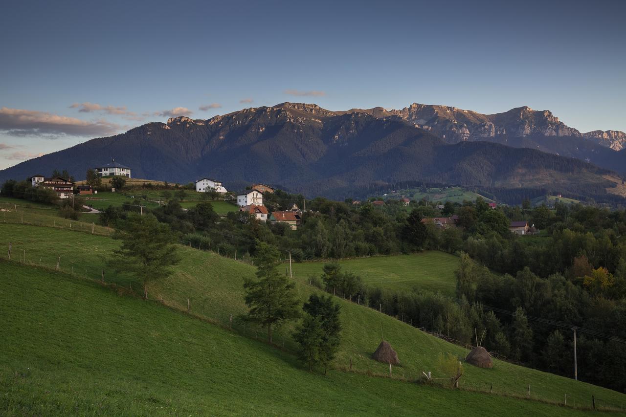 Bran Monte Crai Chalet Exteriér fotografie