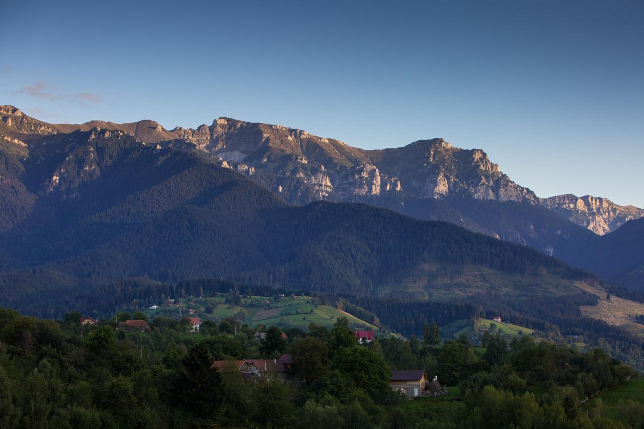 Bran Monte Crai Chalet Exteriér fotografie