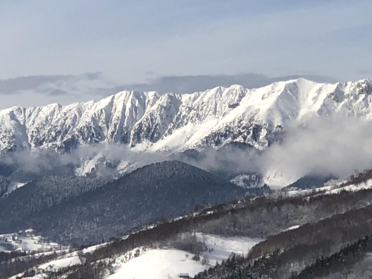 Bran Monte Crai Chalet Exteriér fotografie
